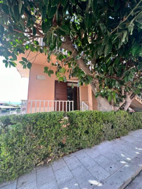 Camera Ficus San Teodoro